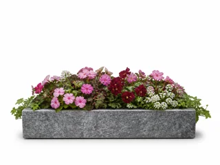 Illustration — 1 jardinière